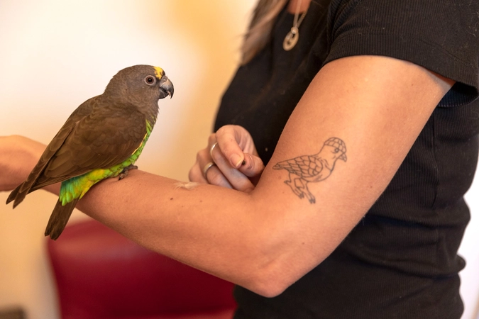 Velkommen til Fugleteamet